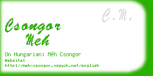 csongor meh business card